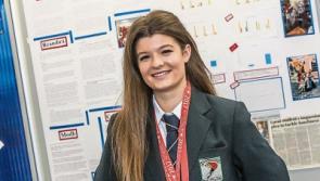  Colaiste Pobail Osarí: Effect of voluntary care visits on mental health of geriatric patients