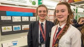 Coláiste Pobail Osraí: Investigating pesticides on fruit and veg from around the world