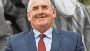 Kilkenny to fight the cause of hurling