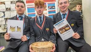 Castlecomer CS: 'Comer group ask which is better - the chicken or the incubator?