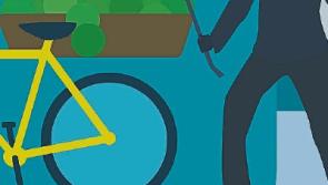 Bicycle thief strikes again at Robertshill in Kilkenny