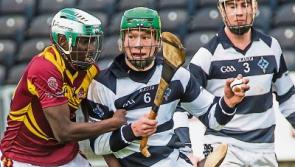 Mighty St Kieran's tops again in all Kilkenny final