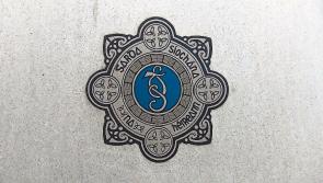Gardaí appeal for witnesses to fatal road incident in Freshford