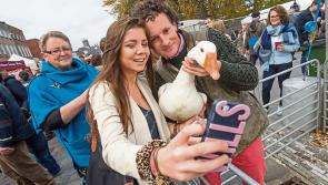 Lots to do for  children at Savour Kilkenny