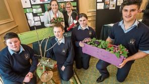 Kilkenny City Vocational School are 'sensations' at Enterprise Awards