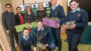 Proud students set to fly the flag  for Kilkenny at national finals in Croke Park