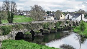 Kilkenny village wants to stop communication mast  - public meeting tonight