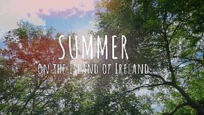 Watch: Kilkenny features in new Tourism Ireland summer ad