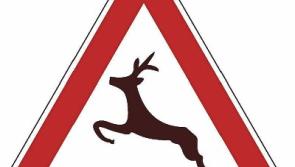 Deer crossing the road causing safety problems near Freshford