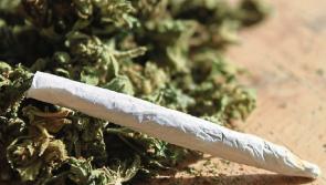 Breaking: €80,000 worth of cannabis seized in Kilkenny