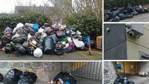 Kilkenny's illegal dumpers are identified and fined