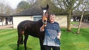 Epsom derby dream is back on for Kilkenny man