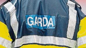 UPDATE: 42 people arrested in Kilkenny district Garda operation