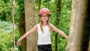 Summer programme at 'Comer Discovery Park