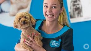 Kilkenny Petmania: Party time as Petmania celebrates 10 years at the top