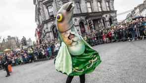 'Disappointed' chairman steps away from Kilkenny St Patrick's Day parade