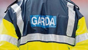 Thieves steal bicycles outside school in Kilkenny