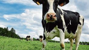 Kildalton Agricultural College Student wins All Ireland AIB / Teagasc Best Farm Business Plan Award
