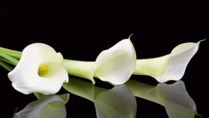 Kilkenny deaths for Thursday, September 20