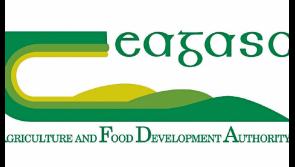 Teagasc to host international farm safety and  health conference