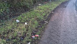 Litter pickers can't go near 'shocking' road in Kilkenny