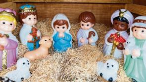 IFA Live Animal Crib Returns to Mansion House for Christmas 2023