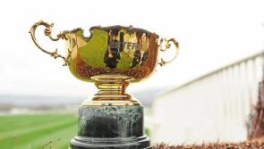 Cheltenham creates a sporting flutter - but be smart