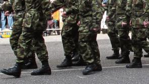 ‘Viability of Defence Forces is in danger’ says Kilkenny TD