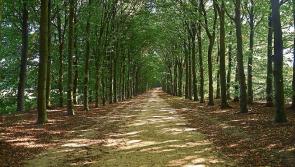 €82,400 for five Kilkenny projects under Outdoor Recreation Infrastructure Scheme