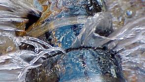 Kilkenny councillors call for Irish Water intervention due to 'ongoing water leaks' 