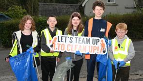 Pictures: Massive clean-up takes place across Kilkenny, Callan,  Glenmore,  Castlecomer - and more!