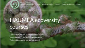 HAUMEA Ecoversity Bursaries for Kilkenny artists

