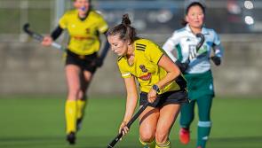 Cats make their point in hard-fought Naas draw