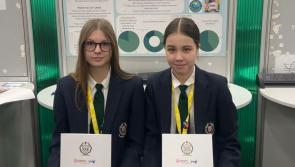 Kilkenny students in action on final day of Young Scientist exhibition - winner to be announced this evening