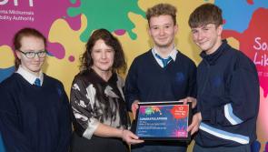 Kilkenny student winners collect national art competition prizes