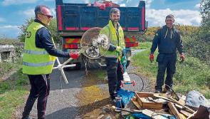 Kilkenny community springs into action for annual clean-up