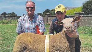 Kilkenny ram is winning all before him