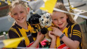 GALLERY TWO: Your Kilkenny fan pictures - click to view!