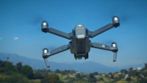  Dairy Drones Help Farmers Find Grazing for Cows 
 