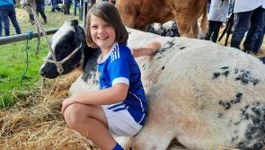 'Blue' supporters meet! Thomastown lady at Tullamore Show