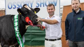 Champion Holstein Friesian Award for Kilkenny farmer
