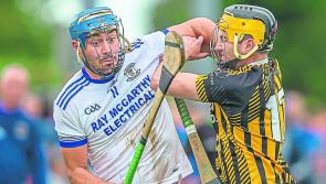 Kilkenny IHC- Joy for Johnstown as Freshford fall to junior ranks