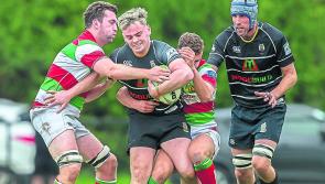 Kilkenny enjoy home comforts with second win of the season