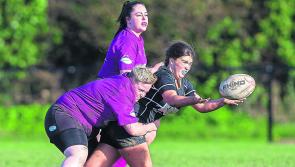 Purr-fect Cats tame South-East Lions