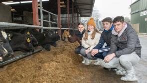 Colaiste Mhuire, Johnstown, students visit Teagasc for Science Week