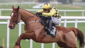 Mixed weekend at Punchestown for Mullins