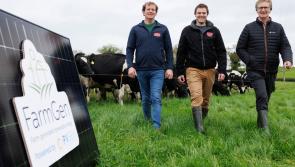 Dairy co-operatives join forces to expand on-farm Solar PV programme - Kilkenny Farming
