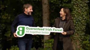 Tree-mendous: Planting the first Guaranteed Irish native forest 