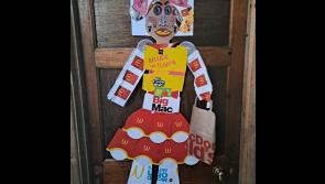 South Kilkenny artist routs litter louts with creative sculptures 

