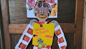 Kilkenny artist routs litter louts

